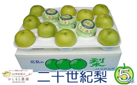 ●先行予約●安芸高田市[かしもと農園]二十世紀梨 5kg 果物 フルーツ 梨園 技術 経験 品質 美味しい きれいな空気 緑 みずみずしく さっぱり 甘み 酸味