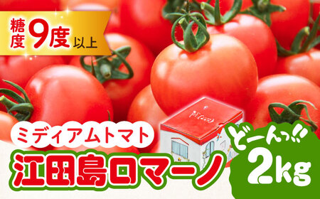 「食の安全」を守りたい!自然を活用した低農薬栽培![11月上旬から翌年6月末まで順次発送]江田島ロマーノ トマト 2kg 料理 人気 美容 健康 ギフト 広島県産 江田島市/有限会社グリーンファーム沖美[XAB005]野菜とまとトマト野菜