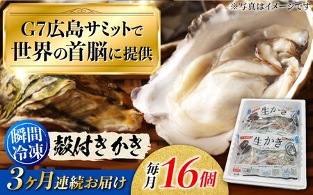 冷凍が嬉しい![全3回定期便]やながわ自慢! 殻付き 牡蠣 16個(瞬間冷凍) かき 海鮮 和食 海産物 簡単 レシピ 広島県産 江田島市/マルサ・やなわ水産有限会社[XBL012]魚介類かきカキ牡蠣定期便魚介類カキ