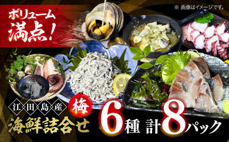 新鮮なお魚盛りだくさん!海鮮詰合せ「梅」 料理 和食 簡単 レシピ 魚介類 海産物 海鮮 刺身 ギフト お取り寄せ 江田島市/七宝丸[XBY001]刺し身海鮮魚介類セット刺身