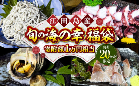 [何が届くかお楽しみ]旬の海の幸 福袋 寄附額1万円相当 魚介類 海産物 海鮮 刺身 広島 江田島市/七宝丸[XBY004]海鮮魚介類さかな刺身海産物さかな