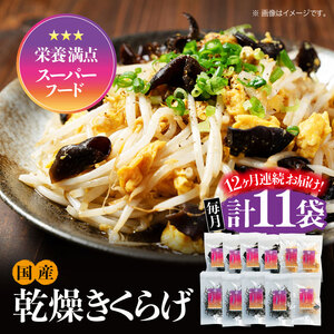 yS12z炰 Ղ肱Zbgv11 炰[XCB011]