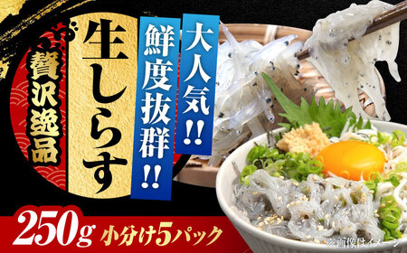 生しらすのプリッした食感と塩味が抜群!生しらす50gX5個 冷凍 シラス しらす 鮮魚 ギフト 海鮮丼 広島県産 江田島市/三島水産株式会社[XCN002]しらす冷凍シラス