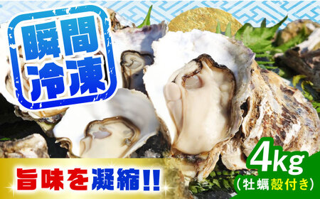 Ⓚy kt3kg y[XAO031]