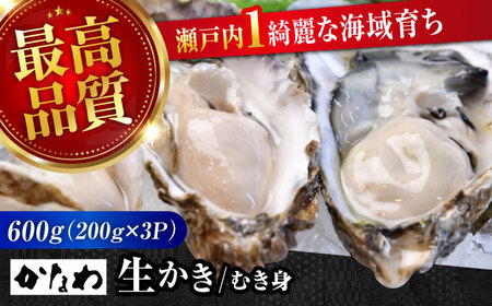 生牡蠣むき身600g 牡蠣[XBP002]牡蠣牡蠣牡蠣牡蠣牡蠣