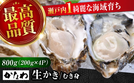 生牡蠣むき身800g 牡蠣[XBP003]牡蠣牡蠣牡蠣牡蠣牡蠣