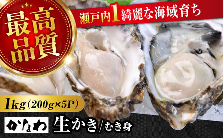 生牡蠣むき身1kg 牡蠣[XBP004]牡蠣牡蠣牡蠣牡蠣牡蠣