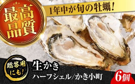 牡蠣 生食 広島牡蠣の老舗!安心・安全の新鮮牡蠣[生牡蠣]牡蠣 かき 殻付き 開殻 夏のかき ハーフシェル『かき小町』6個入 生食用 魚介類 海鮮 広島県産 江田島市/株式会社かなわ[XBP011]牡蠣生食殻付きかきカキ牡蠣