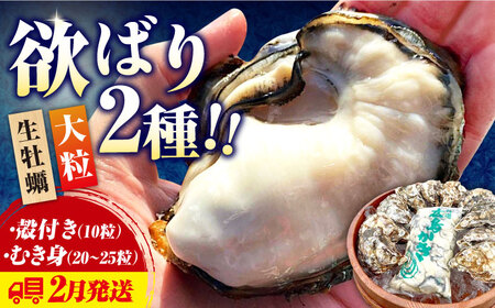 生牡蠣 むき身500g・殻付き10個 2月発送 [XBK010]牡蠣 牡蠣 牡蠣 牡蠣 牡蠣