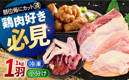 肉 小分け 冷凍 お肉 うまさが違う! せとうち育ちの江田島産地鶏 [冷凍] 一黒シャモ 一羽 パック 合計約1kg 鶏肉 肉 お肉 にく おにく グルメ ギフト 取り寄せ プレゼント 広島県産 江田島市/ポークアンドチキン江田島[XAH004]鶏肉モモ国産