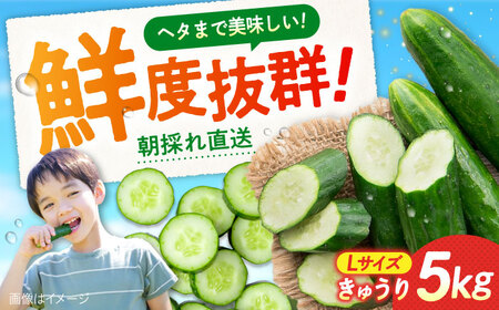 ♚♔プロフ必読♔♚様 リクエスト 2点 まとめ商品 - メルカリ