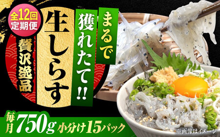 yS12zⓀ炷50g×15 炷[XCN016]