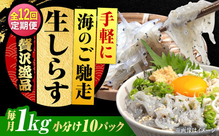 yS12zⓀ炷100g×10 炷[XCN025]