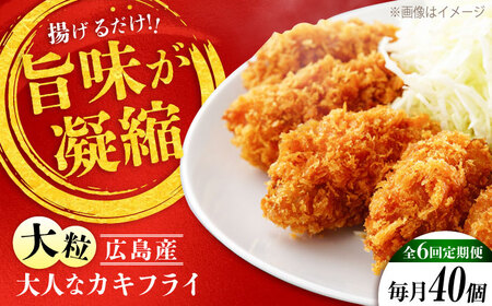 yS6zy ⓀJLtC40 y[XCU009]