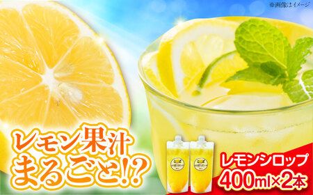 レモンシロップ 400ml×2個 レモン [XBY011]