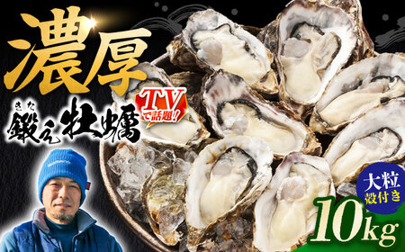 Ⓚ kty 10kg y[XAE067]