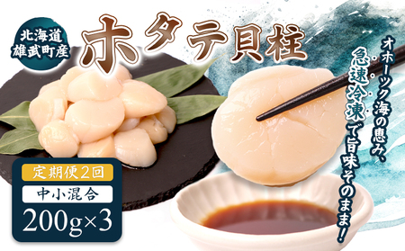 [定期便2回] 北海道雄武町産ほたて貝柱 中小混合 200g×3 (冷凍) 使い切りパック[07136]