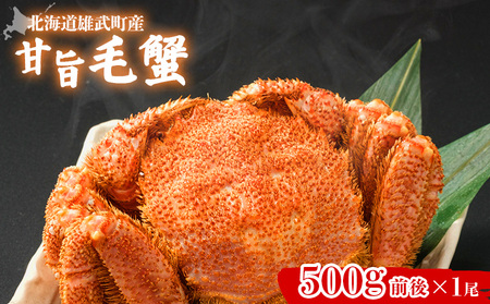 [北海道雄武町産]甘旨毛蟹 500g前後1尾[07182]