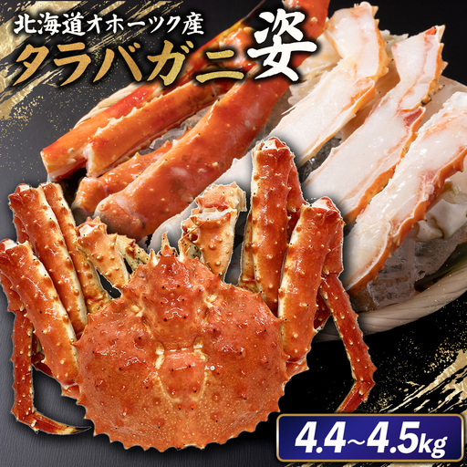 北海道オホーツク産 冷タラバガニ姿　4.4～4.5kg【1241401】