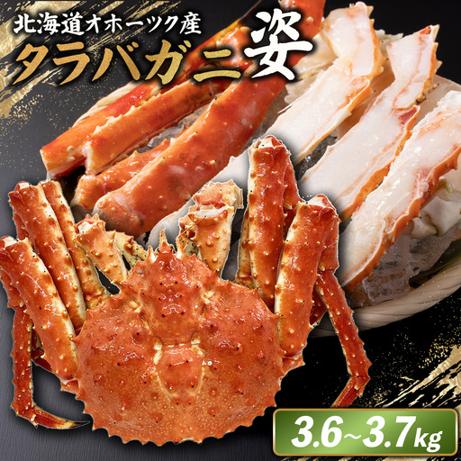 北海道オホーツク産 冷タラバガニ姿　3.6～3.7kg【1241801】