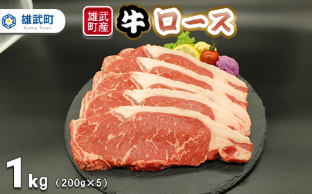 北海道雄武町産 牛肉セット(冷凍)(牛ロースステーキ200g×5)[09119]