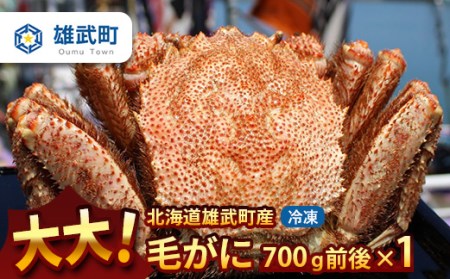 北海道産大大大毛がに700g前後×1(冷凍)