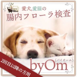 [2回目以降の方用]愛犬/愛猫の腸内フローラ解析「byOm(バイオーム)」