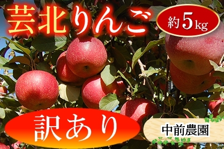 【！訳あり！】中前農園の芸北りんご　約5kg NA099_002