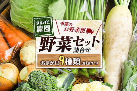 野菜セット 詰め合わせ まるみど農園の季節のお野菜便 農薬使わずに育ててます 9種類 旬 農家直送 国産 送料無料_MA105_001