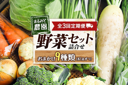 『定期便』全3回 野菜セット 詰め合わせ まるみど農園の季節のお野菜便 隔月 9種類 旬 農家直送 国産 送料無料_MA105_001s3