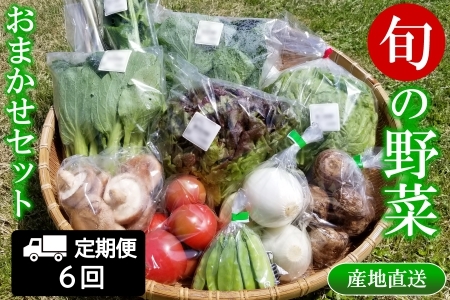 『定期便』全6回 野菜 おまかせセット 毎月届く定期便 旬 道の駅直送 季節野菜 豊平どんぐり村 さんさん市_SA073_001s6