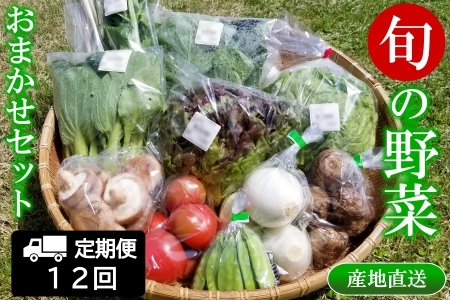 『定期便』全12回 野菜 おまかせセット 毎月届く定期便 旬 道の駅直送 季節野菜 豊平どんぐり村 さんさん市_SA073_001s12