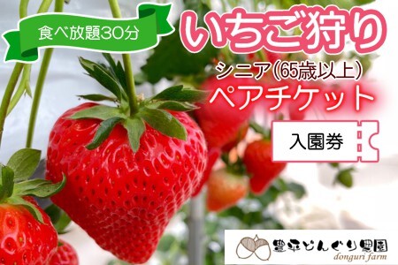 いちご狩りチケット 豊平どんぐり農園 65歳以上ペア シニア2名分 30分食べ放題 広島県北広島町_TO005_011