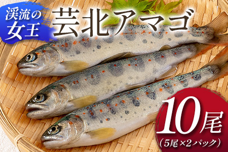 uk̏v|kA}S@10_OG065_017