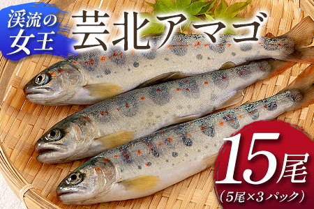 uk̏v|kA}S@15_OG065_018