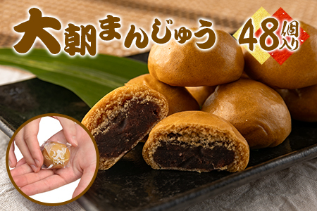 咩܂񂶂イ48@HA010_005