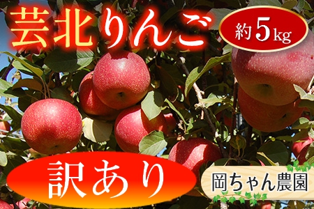 りんご 訳あり ご家庭用 約5kg 岡ちゃん農園の芸北りんご 農家直送 夢つがる 秋映 とき すわっこ シナノスイート 陽光 ぐんま名月 シナノゴールド ふじ_OK066_003