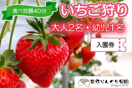 `Pbg Lǂ񂮂_ t@~[ l2c1 30Hו LkL_TO005_009