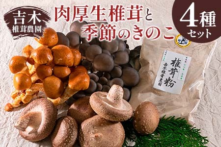 吉木椎茸農園 肉厚生椎茸と季節のきのこセット YO087_001