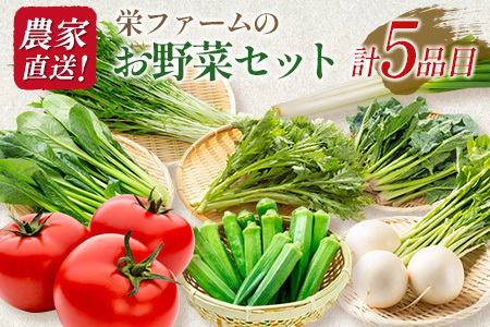 農家直送!栄ファームのお野菜セット SA091_006