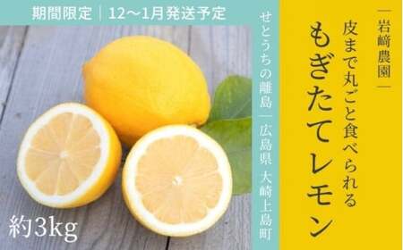 [12〜1月発送] 大崎上島産 皮まで丸ごと食べられる!もぎたてレモン約3kg