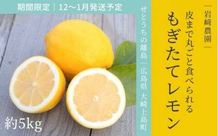 [12～1月発送] 大崎上島産 皮まで丸ごと食べられる！もぎたてレモン約5kg