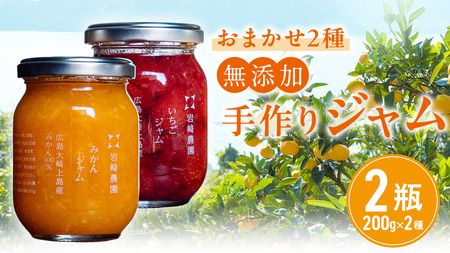 岩﨑農園 無添加 手作り ジャム 200g 2本