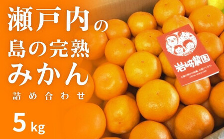 [12月発送] 大崎上島産 濃厚な甘みが自慢!島の完熟みかん詰め合わせ約5kg