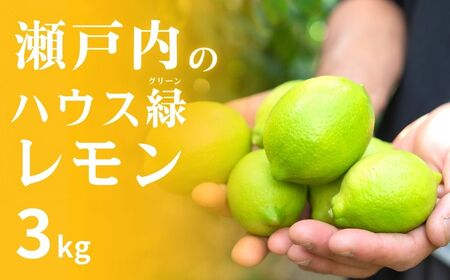 [8〜9月発送] 大崎上島産 皮まで丸ごと食べられるハウスグリーンレモン約3kg