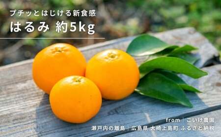 [1〜2月発送] 大崎上島産 プチッとはじける新食感!『はるみ』約5kg