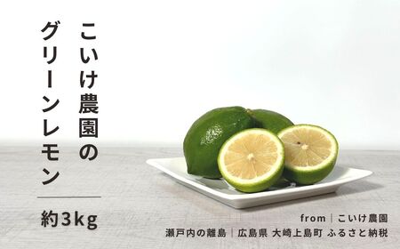 O[ 3kg 9-11\ _ L 㓇 ˓  ʕ t[c k  EG u₩ Mtg  Yn