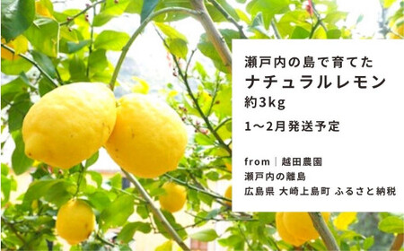 s\ ˓ 3kg [1`2]   bNXhܕsgp L 㓇 ˓  Y 炲 ۂ In͔| Mtg  Yn zc_
