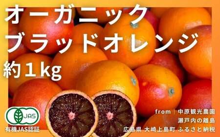 [2〜3月発送] オーガニックブラッドオレンジ 約1kg (8~12個程度) 国産 有機JAS認証 瀬戸内 広島 大崎上島 離島 有機栽培 柑橘 果物 オーガニック フルーツ ギフト 防腐剤不使用 ワックス不使用 無添加 安全 安心 送料無料 産地直送 中原観光農園