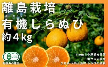 [2〜3月発送] オーガニックしらぬひ 約4kg 国産 有機JAS認証 瀬戸内 広島 大崎上島 離島 有機栽培 柑橘 果物 オーガニック フルーツ ギフト 防腐剤不使用 ワックス不使用 無添加 安全 安心 送料無料 産地直送 中原観光農園